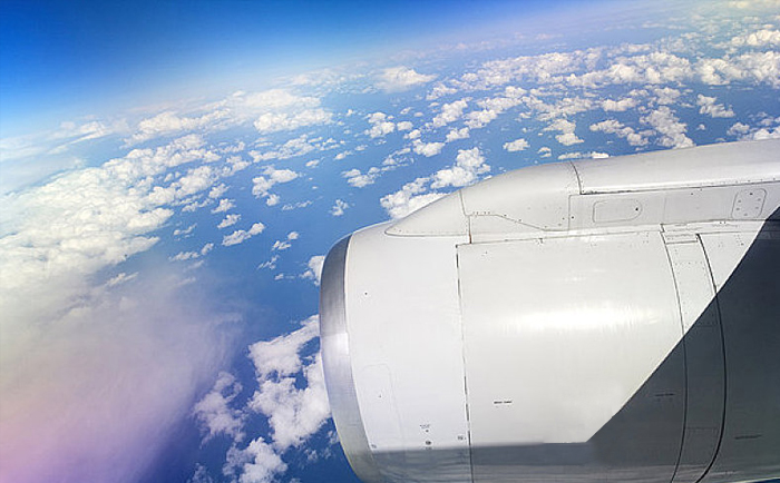 ģ�����������